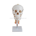 /msite/products/detail/productid/14014949/id/186332.html